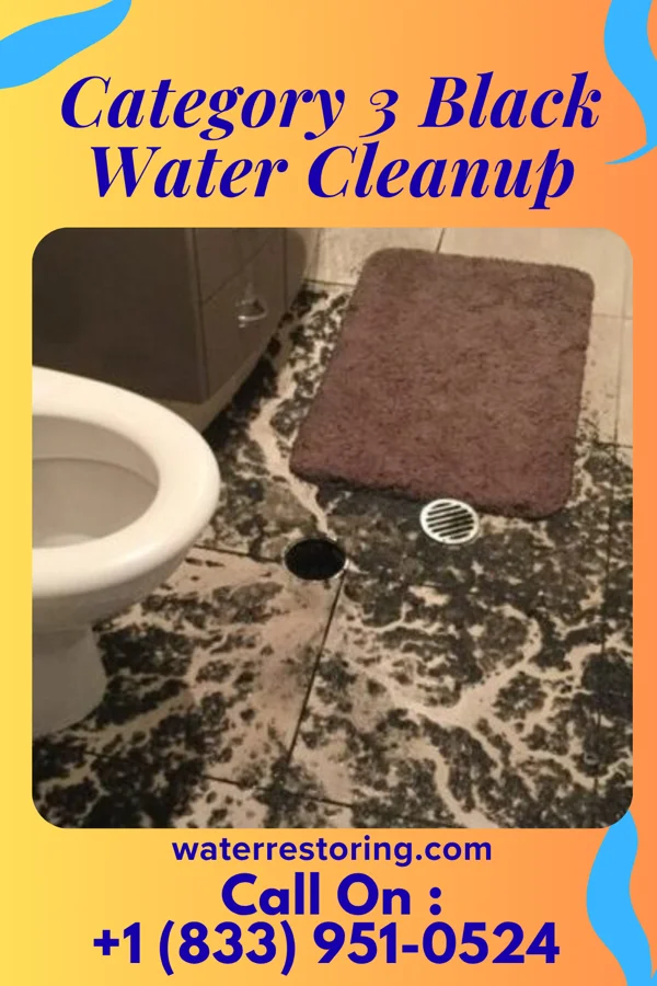 Category 3 Black Water Cleanup in Matoaka, WV