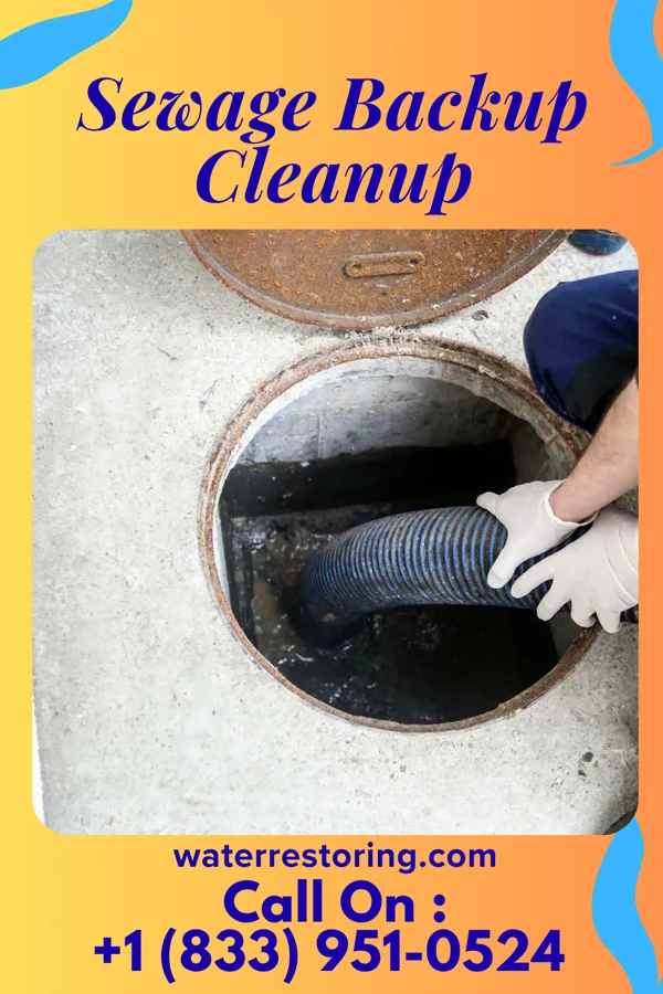 Sewage Backup Cleanup in Matoaka, WV