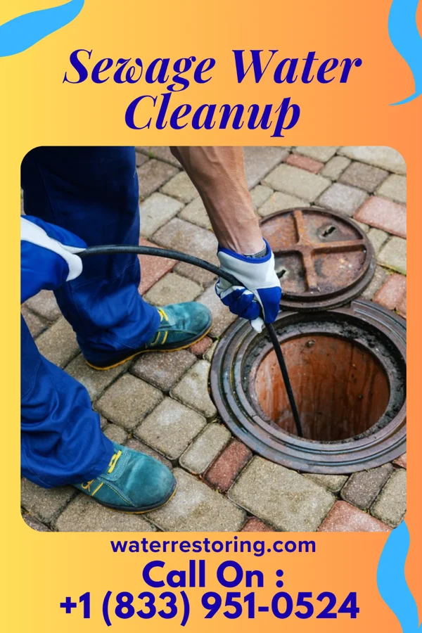 Sewage Water Cleanup in Matoaka, WV